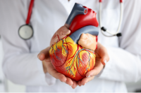 doctor holding heart