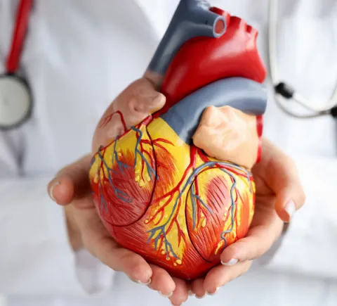 Heart A-FIb