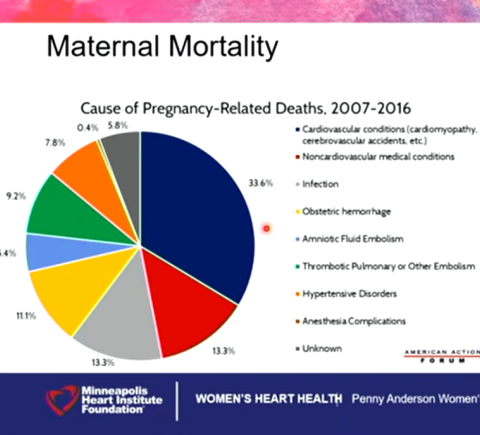 maternal mortality chart