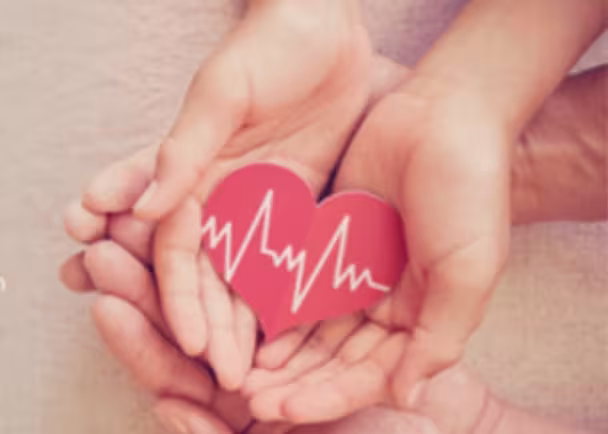 hands holding heart