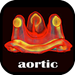 aortic valve in valve