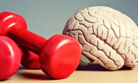 brain and weights