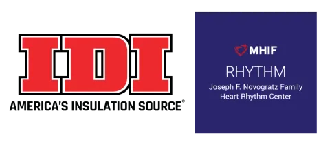 IDI logo