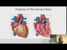 Embedded thumbnail for Advancements in Heart Rhythm Conditions in the Age of COVID-19