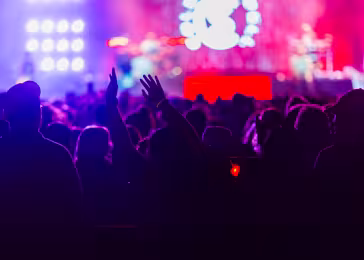 heart 360 concert crowd