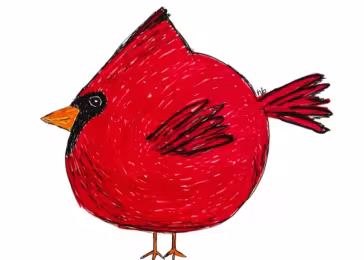 Little Birdie Buddies